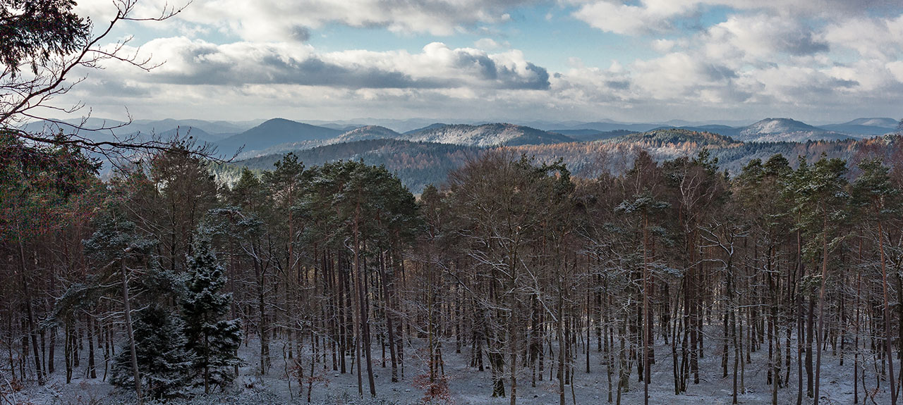 Une vaste forêt recouverte de neige légère sous un ciel nuageux se déploie sur fond de montagnes vallonnées s'estompant au loin, avec des conifères clairsemés disséminés un peu partout - un rappel silencieux d'une beauté intacte au milieu des préoccupations croissantes concernant les émissions de gaz à effet de serre.